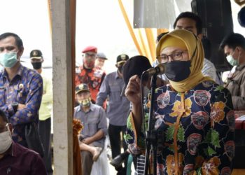 Dicanangkan Menjadi Kawasan Industri, Kemingking Dapat Dukungan Pj Gubernur Jambi