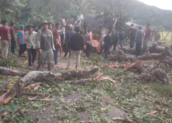 Angin Kencang Di Kerinci,Satu Warga Meninggal Dunia