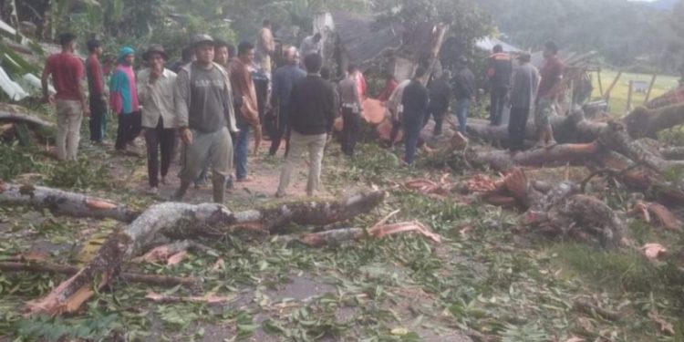 Angin Kencang Di Kerinci,Satu Warga Meninggal Dunia