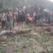 Angin Kencang Di Kerinci,Satu Warga Meninggal Dunia
