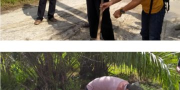 Bupati UAS Turun Langsung Perbaiki Jalan Di Desa Pulai Pinang