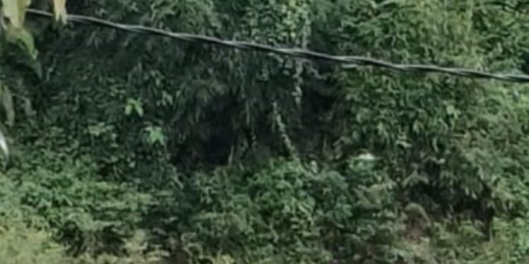 Mayat Pria Mengapung Ditemukan di Sungai Batang Merangin