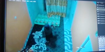 Rumah Wartawan TVRI Jambi Diobok-Obok Maling