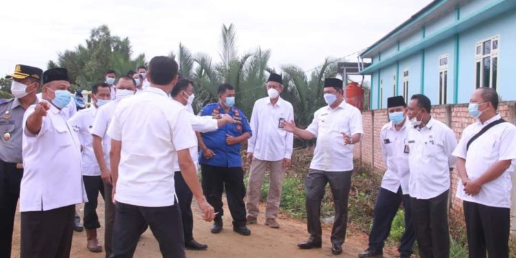 Menyambut Hari Raya Idul Adha, Pemkab Tanjabbar Siapkan 33 Ekor Sapi untuk di Qurbankan