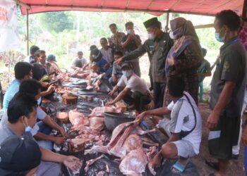 Wakil Gubenur Hadiri Penyembelihan  Hewan Kurban untuk Suku Anak Dalam
