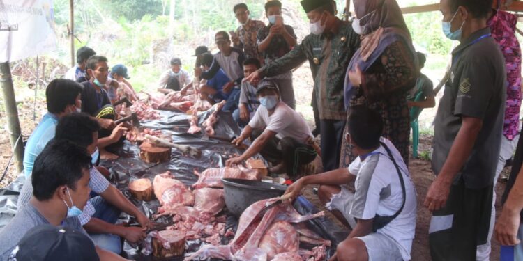 Wakil Gubenur Hadiri Penyembelihan Hewan Kurban untuk Suku Anak Dalam