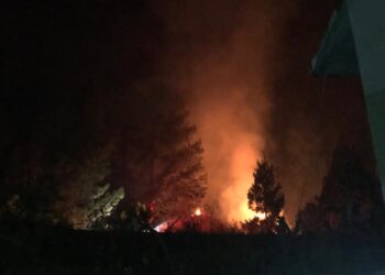 Kebakaran Hutan Kembali Terjadi di Wilayah Taman Nasional Kerinci Sebelat (TNKS)