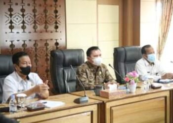 Wako Ahmadi Ikuti Rakornas Pengendalian Inflasi 2021