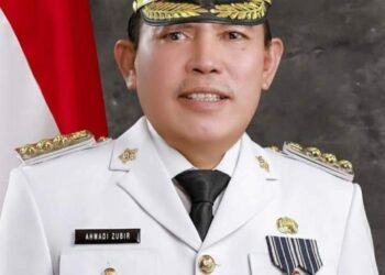 Jika Target 100 Hari Kerja Tak Tercapai, Ini Kata Wako Ahmadi