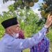 Bupati Adirozal Tinjau Perkebunan Jeruk di Kerinci