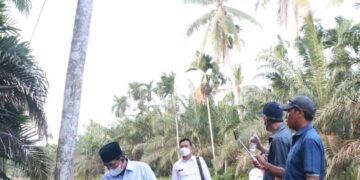 Bupati UAS Akan Koordinasi dengan PLN Terkait Tiang Listrik dari Batang Pinang