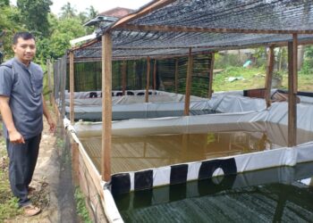 Khoirul Umam, Sosok Guru Pesantren As’ad Jambi yang Rintis Usaha Jual Benih Ikan Gurame Soang