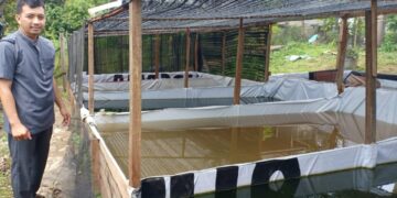 Khoirul Umam, Sosok Guru Pesantren As’ad Jambi yang Rintis Usaha Jual Benih Ikan Gurame Soang