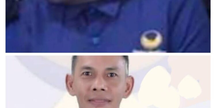 Terkait Emizola Mundur Dari Jabatan Ketua Nasdem, Tole: Kami Belum Terima Surat Tertulis