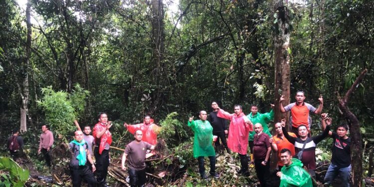 Satresnarkoba Polres Kerinci Kembali Temukan Ladang Ganja