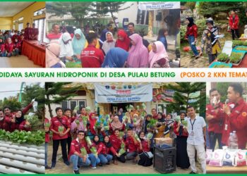 Mahasiswa Posko 2 KKN Tematik UNJA Adakan Pelatihan Budidaya Sayuran Hidroponik