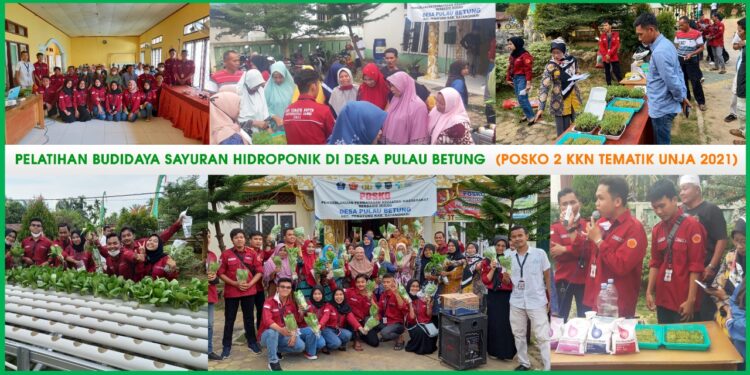 Mahasiswa Posko 2 KKN Tematik UNJA Adakan Pelatihan Budidaya Sayuran Hidroponik