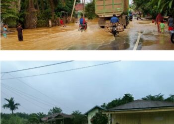 Puluhan Rumah di Desa Tanjung Bojo Terendam Banjir