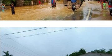 Puluhan Rumah di Desa Tanjung Bojo Terendam Banjir