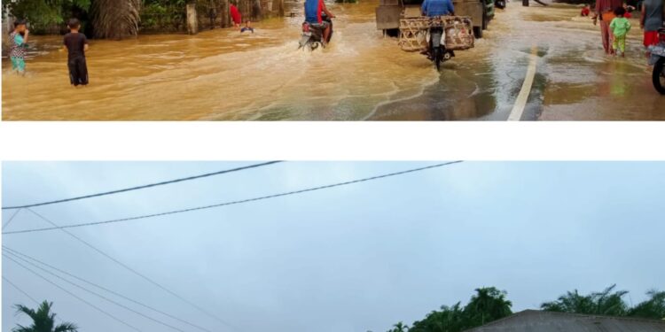 Puluhan Rumah di Desa Tanjung Bojo Terendam Banjir