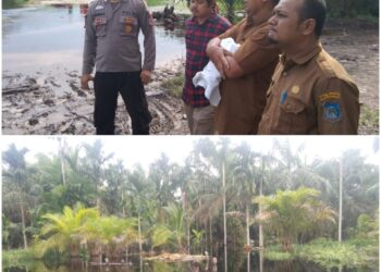 Terkait Banjir Perkebunan Warga Bramitam, Suprayogi Saiful Minta Pihak PT WKS Segera Carikan Solusi