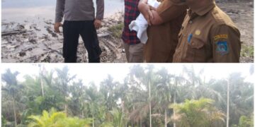 Terkait Banjir Perkebunan Warga Bramitam, Suprayogi Saiful Minta Pihak PT WKS Segera Carikan Solusi