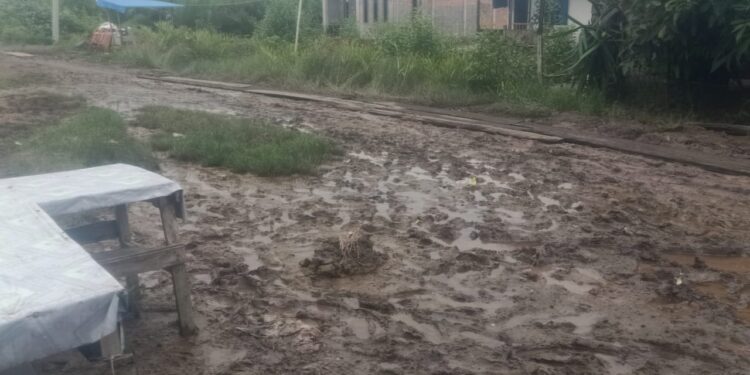 Masih Gunakan Timbunan Tanah Lokal, Jalan di Sungai Tiram Butuh Pembangunan