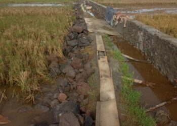 Disinyalir Bangun Irigasi Tanpa Pondasi, Proyek Anak Anggota Dewan Sungai Penuh Ini Diminta Warga Segera Dibongkar
