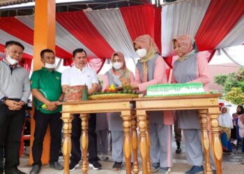 Wako Ahmadi Hadiri Puncak Peringatan HUT DWP ke-22 Kota Sungai Penuh