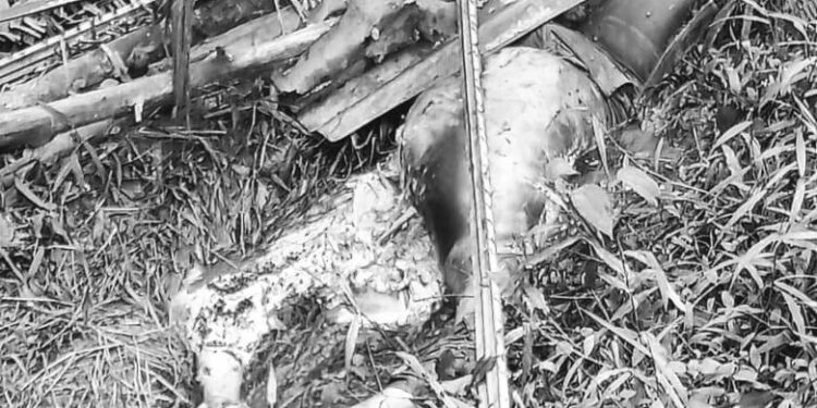 Masyarakat Desa Tanjung Tayas Dihebohkan dengan Penemuan Mayat yang Membusuk