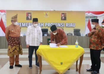 Bangun Konektivitas Pembangunan, Pemkab Tanjab Barat Gelar Audiensi dengan Pemprov Riau