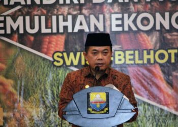 Al Haris : Komiditi Pertanian Penyumbang Ekspor Terbesar Jambi