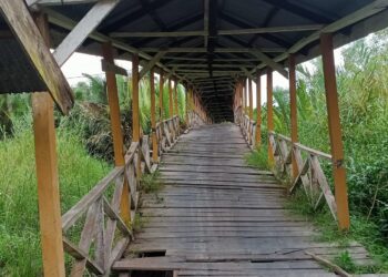 Jembatan Parit Gantung Sungai Gebar Rusak, Camat: Insya Allah Tahun ini Dibangun