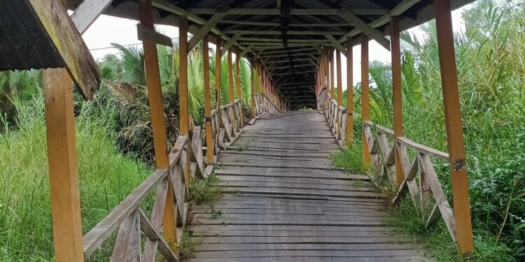Jembatan Parit Gantung Sungai Gebar Rusak, Camat: Insya Allah Tahun ini Dibangun