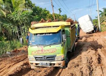 Tanjabtim Tak Tersentuh Proyek Multi Years 1,5 Triliun, Sukardi: Jangan Ada yang di Anak Tirikan