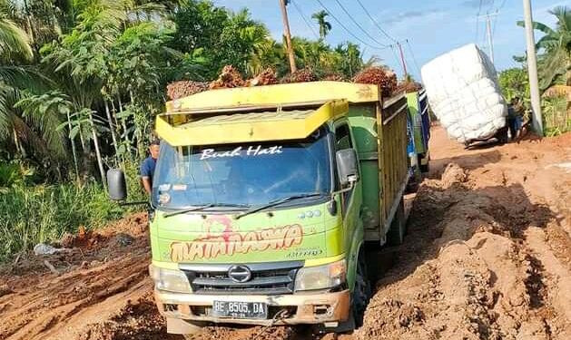 Tanjabtim Tak Tersentuh Proyek Multi Years 1,5 Triliun, Sukardi: Jangan Ada yang di Anak Tirikan