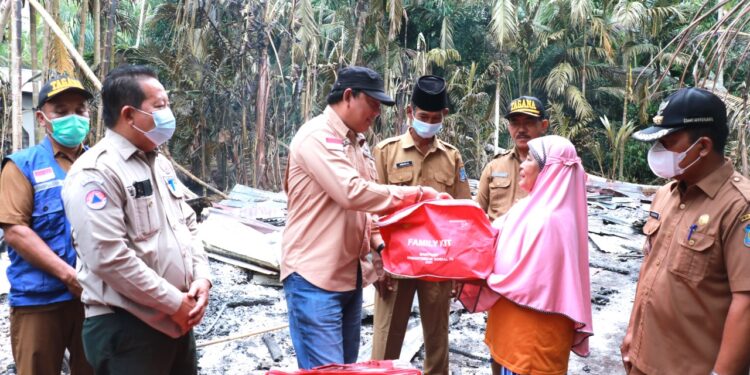 Tinjau Lokasi Kebakaran di Desa Sungsang, Wabup Hairan Serahkan Bantuan