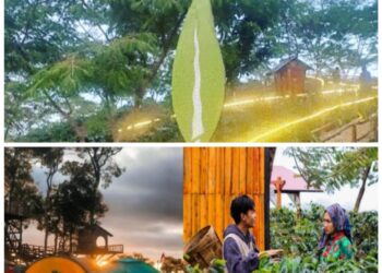 Membanggakan, Depati Vll Coffee Kota Sungai Penuh Masuk Nominasi API 2022