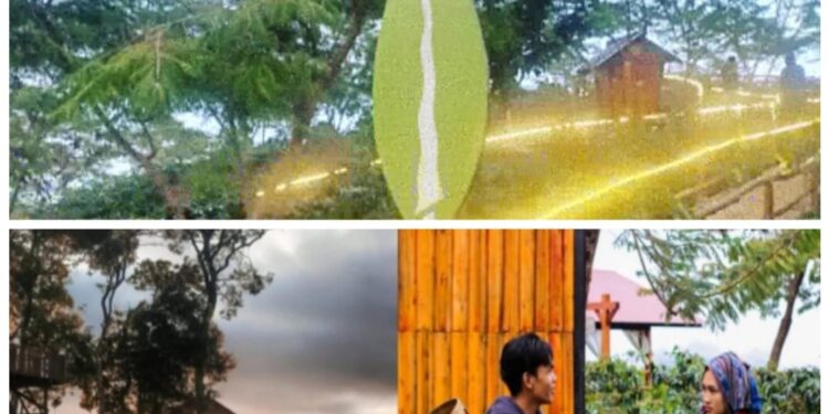 Membanggakan, Depati Vll Coffee Kota Sungai Penuh Masuk Nominasi API 2022