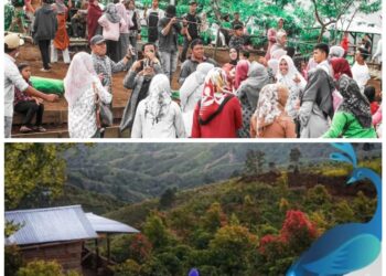 Masuk Nominasi API 2022, Owner Depati VII Coffee: Mohon Doa dan Dukungannya