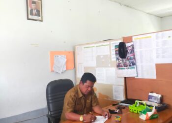 Kabar Baik Bagi Guru PAUD, Armanuddin: Alhamdulillah Insentif Sudah Cair