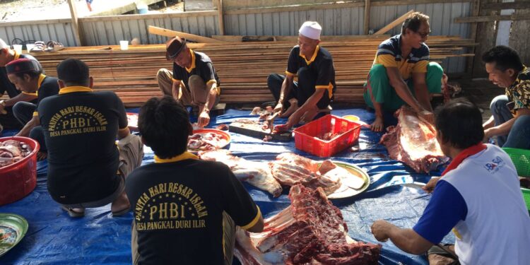 Sembelih 6 Ekor Sapi, Kades Desa Pangkal Duri Ilir: Semoga Bisa Menambah Semangat Keikhlasan dan Gotong Royong