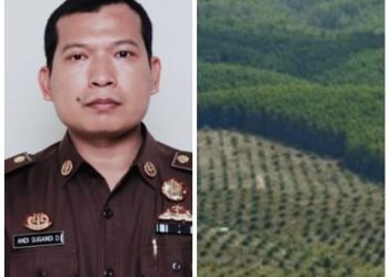 Kasi Intel Kejari Sungai Penuh: Kejaksaan Agung Sita Delapan Perusahaan Sawit Milik  PT Duta Palma Surya Darmadi
