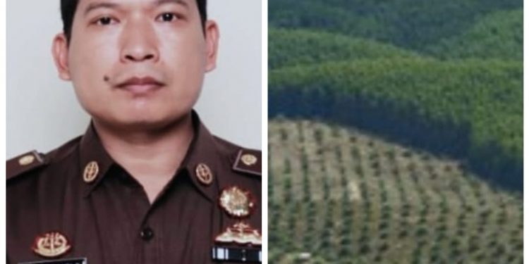 Kasi Intel Kejari Sungai Penuh: Kejaksaan Agung Sita Delapan Perusahaan Sawit Milik  PT Duta Palma Surya Darmadi
