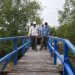 Pemkab Tanjabbar Apresiasi Pembentukan Perdes Tentang Perlindungan Hutan Mangrove