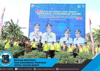 Bupati Bersama Gubernur Laksanakan Gerakan Panen Cabai Merah Kelompok Tani Bangun Karya Desa Lubuk Terentang