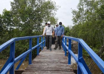 Pemkab Tanjab Barat Mengapresiasi Pembentukan Perdes Tentang Perlindungan Hutan Mangrove