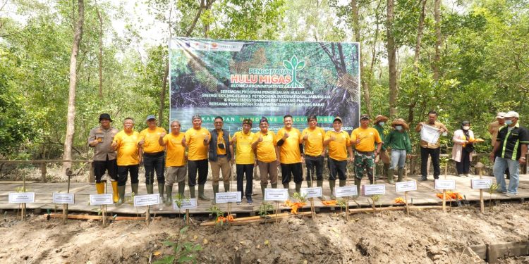 Dukung G20, SKK Migas – KKKS Tanam Ribuan Pohon Mangrove di Jambi