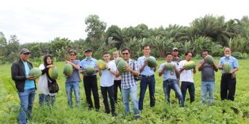 Anggota DPRD Fraksi Pdip Tanjab Barat Ikut Panen Buah Semangka Bersama PT LPPPI