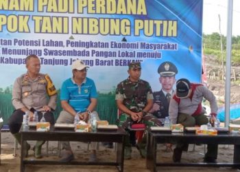 Bupati Tanjab Barat Hadiri Tanam Padi Perdana Sungai Tiram